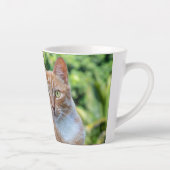 Süße kleine Kätzchen Milchtasse (Rechts)