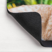 Süße kleine Kätzchen Mousepad (Ecke)