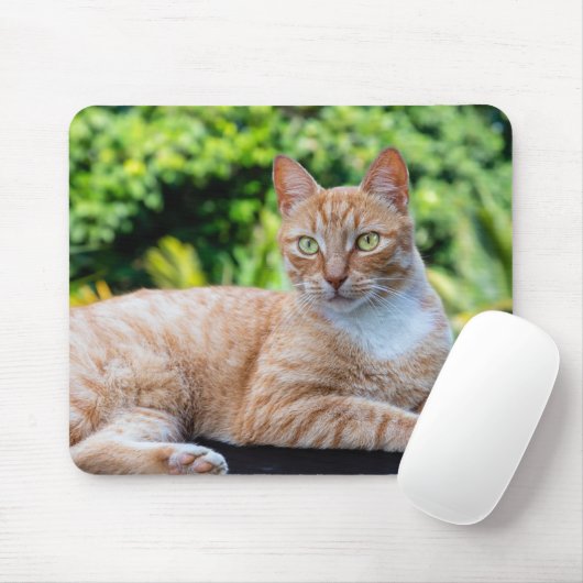 Süße kleine Kätzchen Mousepad (Mit Mouse)