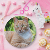 Süße kleine Kätzchen Pappteller (Party)