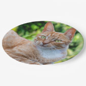 Süße kleine Kätzchen Pappteller (Schrägansicht)