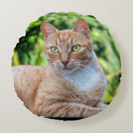 Süße kleine Kätzchen Rundes Kissen