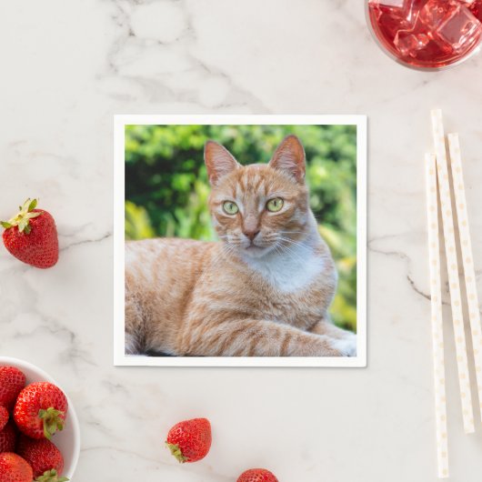 Süße kleine Kätzchen Serviette (Beispiel)