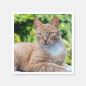 Süße kleine Kätzchen Serviette (Vorderseite)