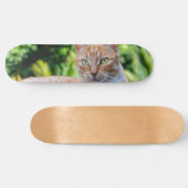 Süße kleine Kätzchen Skateboard (Horizontal)