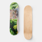 Süße kleine Kätzchen Skateboard (Vorderseite)