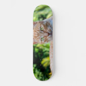 Süße kleine Kätzchen Skateboard (Vorderseite)