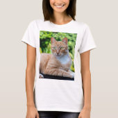 Süße kleine Kätzchen T-Shirt (Vorderseite)