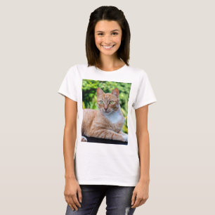 Süße kleine Kätzchen T-Shirt