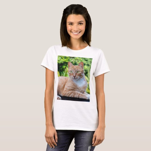 Süße kleine Kätzchen T-Shirt (Vorne ganz)