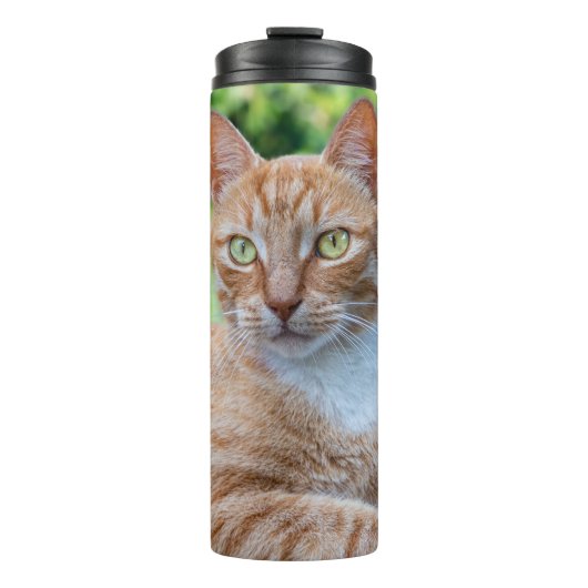 Süße kleine Kätzchen Thermosbecher (Vorderseite)