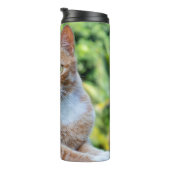 Süße kleine Kätzchen Thermosbecher (Nach rechts gedreht)