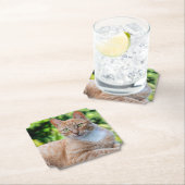 Süße kleine Kätzchen Untersetzer (Vor Ort)