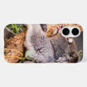 Süße kleine Koala Case-Mate iPhone Hülle (Rückseite (Horizontal))