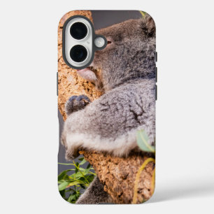 Süße kleine Koala iPhone 16 Hülle