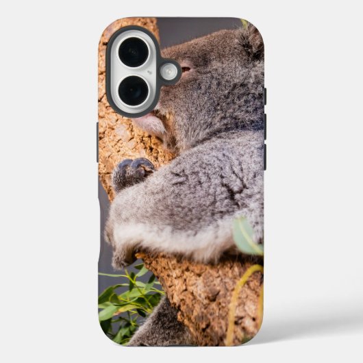 Süße kleine Koala Case-Mate iPhone Hülle (Rückseite)
