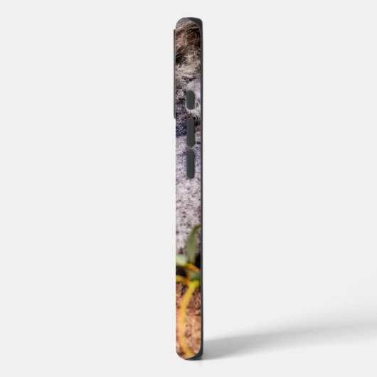 Süße kleine Koala Case-Mate iPhone Hülle (Rückseite / Links)