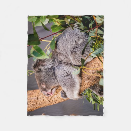 Süße kleine Koala Fleecedecke (Vorderseite)