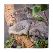 Süße kleine Koala Fliese (Vorderseite)