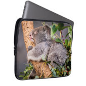 Süße kleine Koala Laptopschutzhülle (Vorne Rechts)