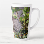 Süße kleine Koala Milchtasse (Rechts)