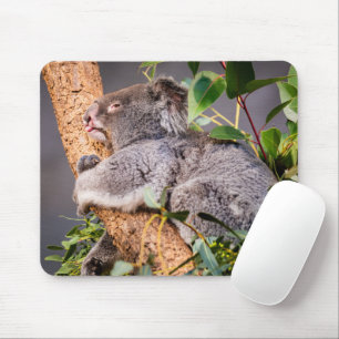 Süße kleine Koala Mousepad