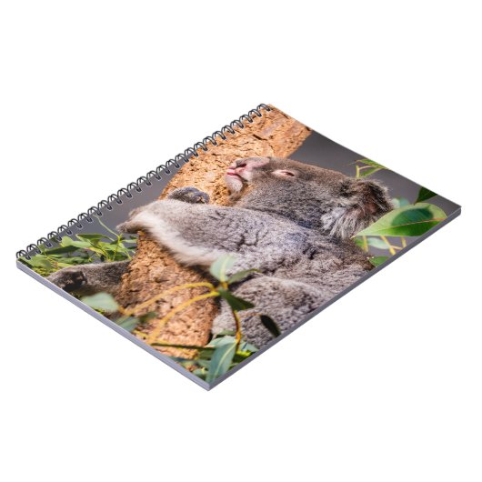 Süße kleine Koala Notizblock (Linke Seite)