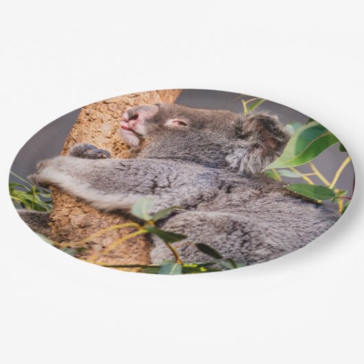 Süße kleine Koala Pappteller (Schrägansicht)