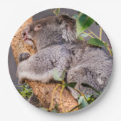 Süße kleine Koala Pappteller (Vorderseite)