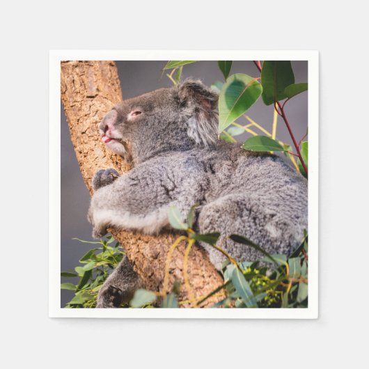 Süße kleine Koala Serviette (Vorderseite)