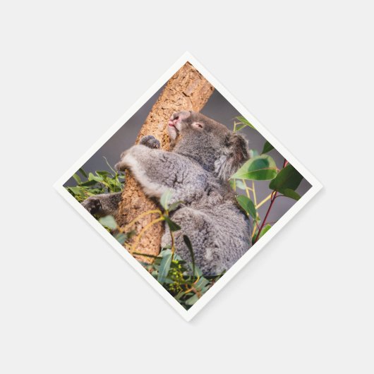 Süße kleine Koala Serviette (Ecke)