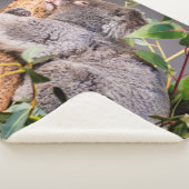 Süße kleine Koala Sherpadecke (3/4)