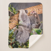 Süße kleine Koala Sherpadecke (Vorderseite)