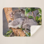 Süße kleine Koala Sherpadecke (Vorderseite (Horizontal))