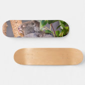 Süße kleine Koala Skateboard (Horizontal)