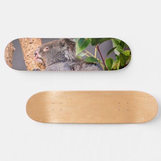 Süße kleine Koala Skateboard (Horizontal)