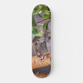Süße kleine Koala Skateboard (Vorderseite)