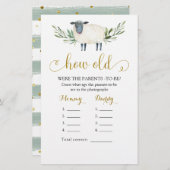 Süße kleine Lammgärten wie alte Eltern (Vorne/Hinten)