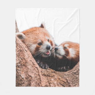 SÜSSE KOALA-BÄREN-FAMILIE FLEECEDECKE