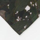 Süße Koala-Bärn-Fleece-Decke Fleecedecke (Ecke)