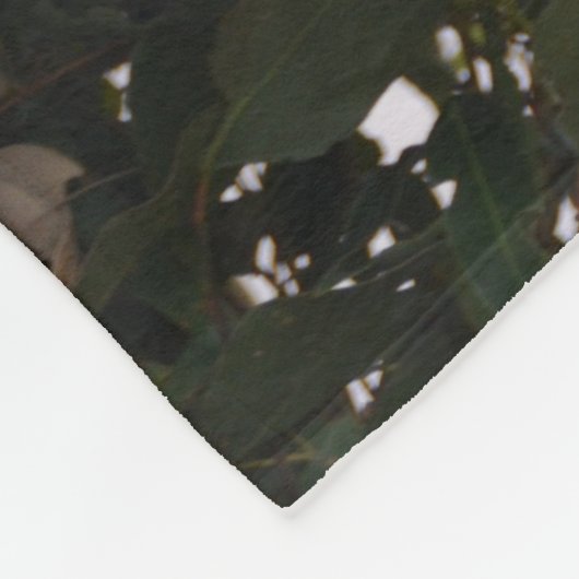 Süße Koala-Bärn-Fleece-Decke Fleecedecke (Ecke)