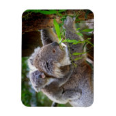 Süße Koalas Magnet (Vertikal)