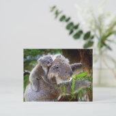 Süße Koalas Postkarte (Stehend Vorderseite)