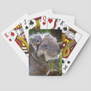 Süße Koalas Spielkarten
