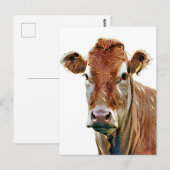 SÜSSE KUH POSTKARTE (Vorne/Hinten)