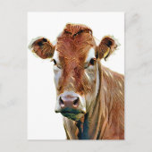 SÜSSE KUH POSTKARTE (Vorderseite)