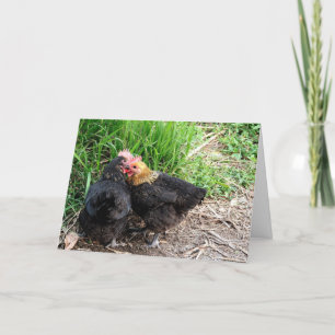 Süße kuschelnde Hühner Fotografie Benutzerdefinier Karte