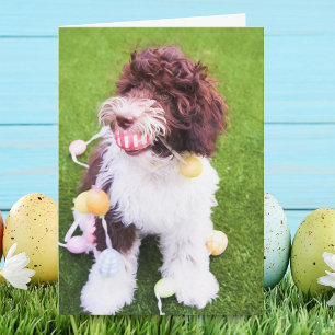 Süße Labradoodle-Oster-Eiersuchkarte Feiertagskarte