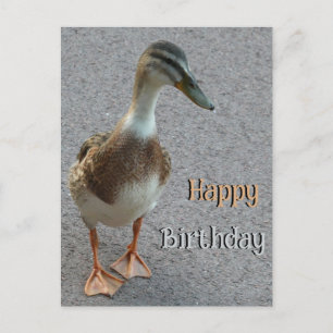 Süße laufende Ente - personalisierbare Happy Birth Postkarte