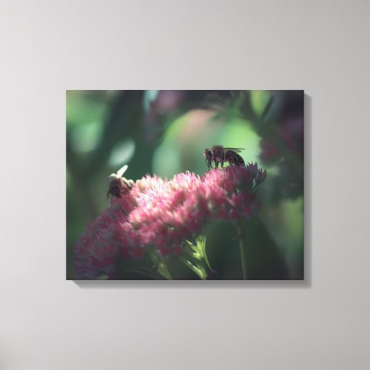 Süße Leinwanddruck (Vorderseite)